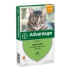 Advantage 40 Kat Kleiner Dan 4 Kg - 4 Pipetten 2 Advantage 40 Kat Kleiner Dan 4 Kg - 4 Pipetten -HuisdierParadijs advantage 40 cat 4 kg 4 pipetten