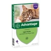 Advantage 80 Kat Groter Dan 4 Kg - 4 Pipetten 1 Advantage 80 Kat Groter Dan 4 Kg - 4 Pipetten -HuisdierParadijs advantage 80 groter dan 4 kg 4 pipetten