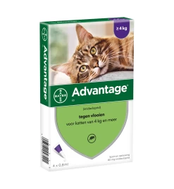 Advantage 80 Kat Groter Dan 4 Kg - 4 Pipetten