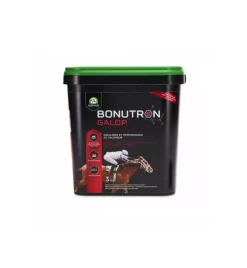 Audevard Bonutron Galop