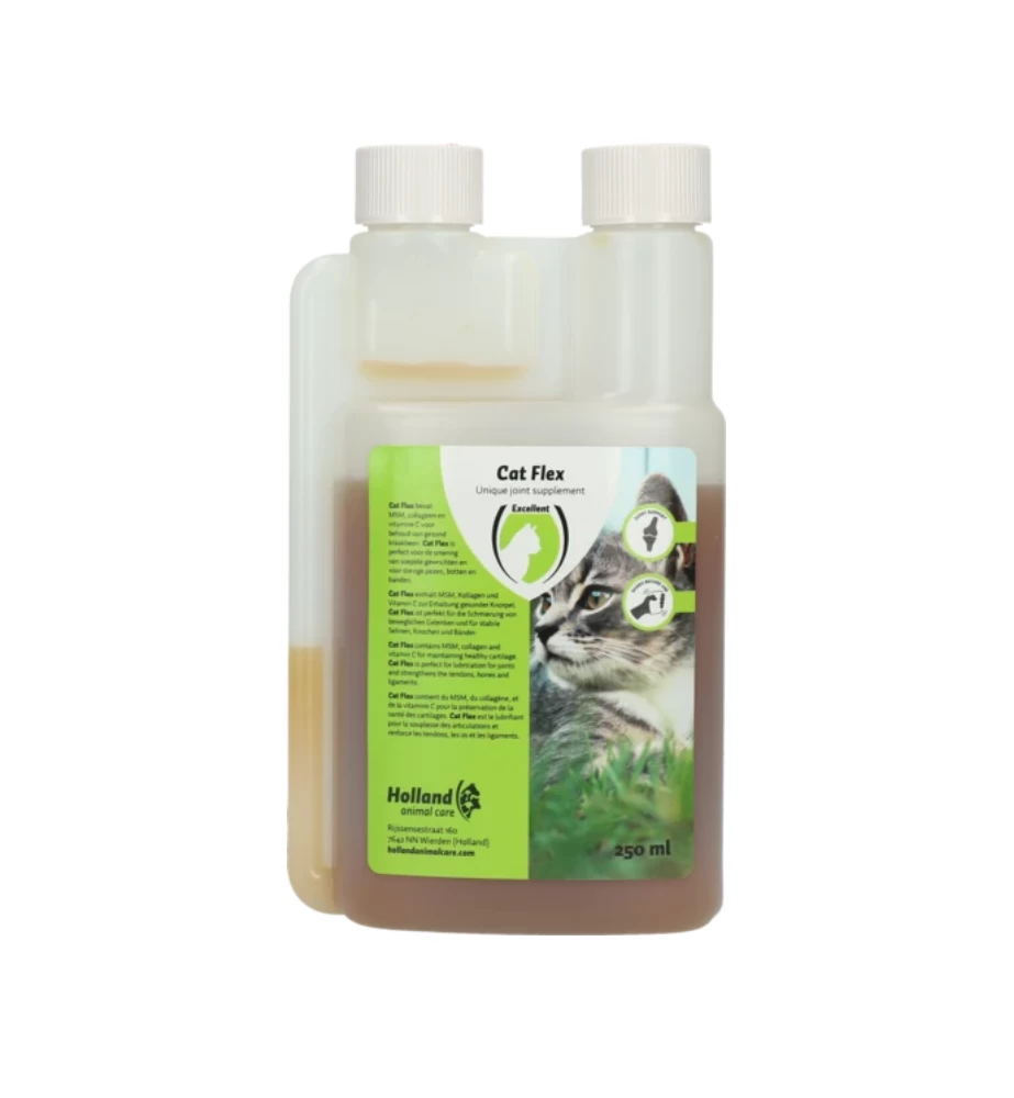 Excellent Cat Flex 3 Excellent Cat Flex