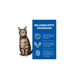 Hill's PD C/D Multicare Urinary Care Stoofpotje Met Kip & Groente - 24 X 82 Gram -HuisdierParadijs hill s pd cd multicare urinary care stoofpotje met kip groente 24 x 82 gram 3