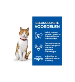 Hill's Science Plan Healthy Cuisine Gesteriliseerde Kat Stoofpotje Kip & Zalm - 4 X 12 X 80 Gram -HuisdierParadijs hill s science plan healthy cuisine gesteriliseerde kat stoofpotje kip zalm 4 x 12 x 80 gram 2