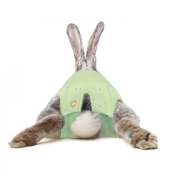 Medical Pet Shirt (Konijn) -HuisdierParadijs medical pet shirt konijn groen 2