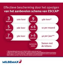 Milbemax Kleine Kat / Kitten -HuisdierParadijs milbemax kleine kat kitten 2