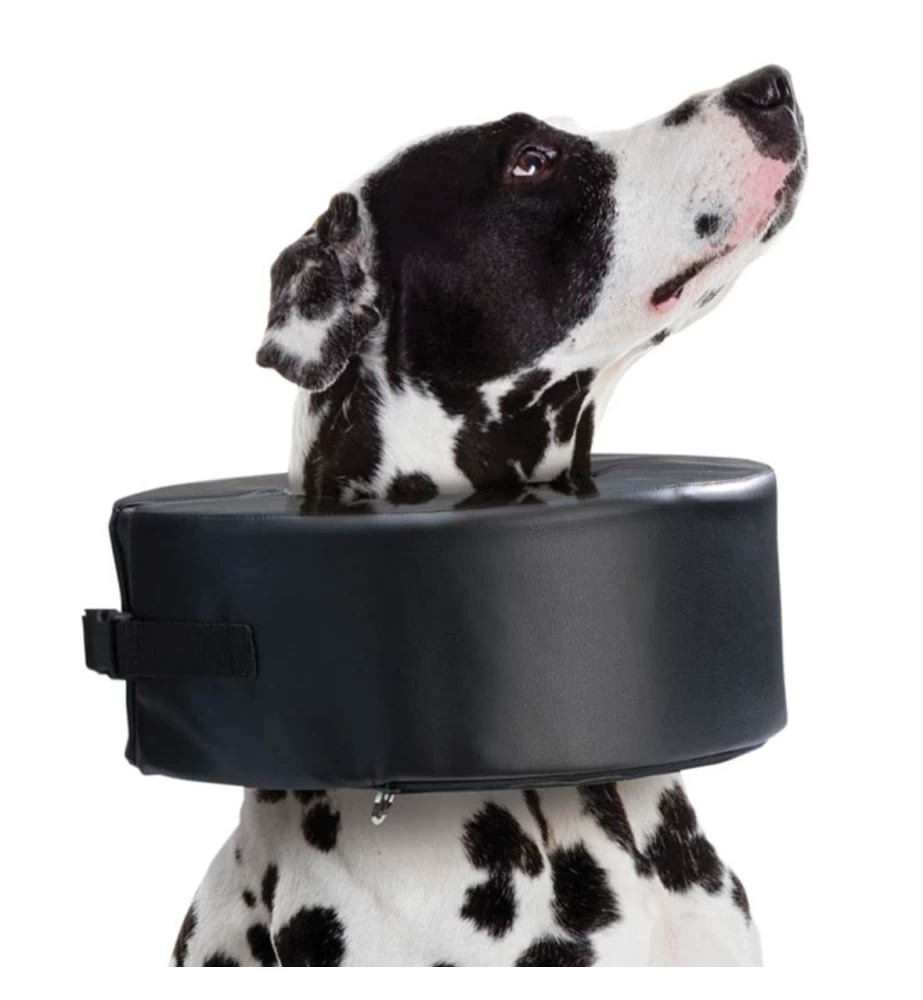 Moon Collar (Schuimkraag) 4 Moon Collar (Schuimkraag) - Afbeelding 2