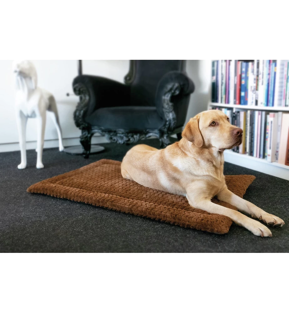 Petlando Deken Daisy Bruin 4 Petlando Deken Daisy Bruin - Afbeelding 2