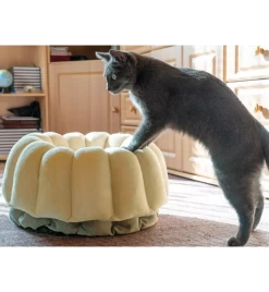 Petlando Ligmand Kat Vienna -HuisdierParadijs petlando ligmand kat vienna 1 2