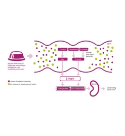 Porus One - 30 X 500 Mg -HuisdierParadijs porus one 30 x 500 mg 3