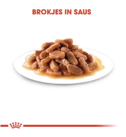Royal Canin Kitten Portie Morsels In Gravy - 12 X 85 Gram -HuisdierParadijs royal canin kitten morsels in gravy 12 x 85 gram 2