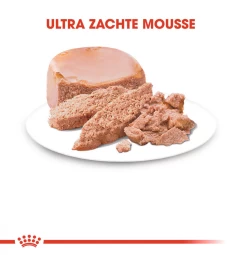 Royal Canin Mother & Babycat Mousse - 12 X 195 Gram -HuisdierParadijs royal canin mother babycat mousse 12 x 195 gram 2