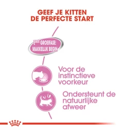 Royal Canin Mother & Babycat Mousse - 12 X 195 Gram -HuisdierParadijs royal canin mother babycat mousse 12 x 195 gram 3