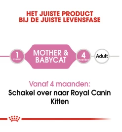 Royal Canin Mother & Babycat Mousse - 12 X 195 Gram -HuisdierParadijs royal canin mother babycat mousse 12 x 195 gram 4