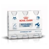 Royal Canin Recovery Liquid - 3 X 200 Ml -HuisdierParadijs royal canin recovery liquid 3 x 200 ml