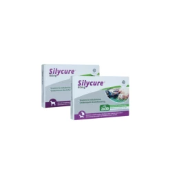 Silycure 40 Mg - 60 Tabletten -HuisdierParadijs silycure 40 mg 60 tabletten 2