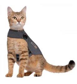 Thundershirt Kat