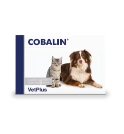 VetPlus Cobalin - 60 Capsules -HuisdierParadijs vetplus cobalin 60 capsules 2